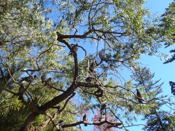 New Zealand: 2 weeks and counting