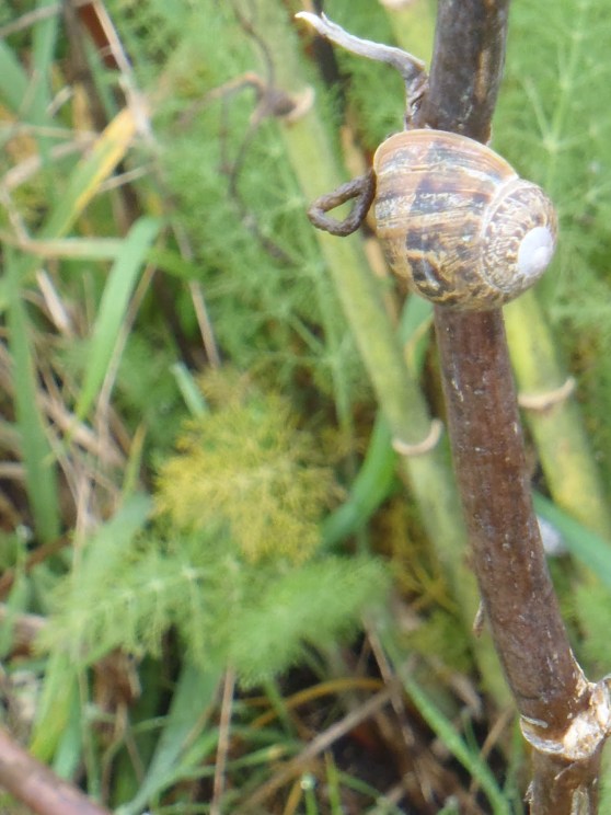 Going back in time: 2 weeks ago.