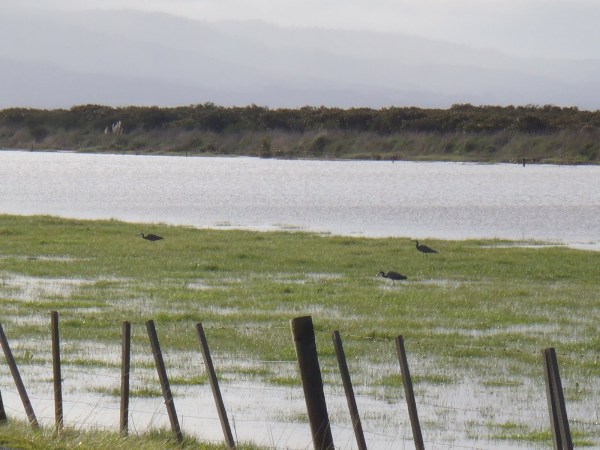 A few more photos from Miranda