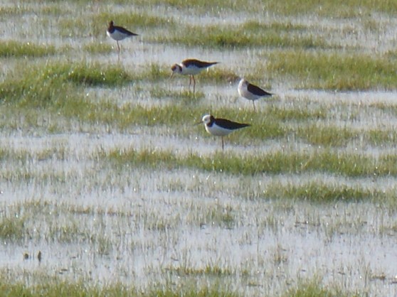 Going back in time: 2 weeks ago.