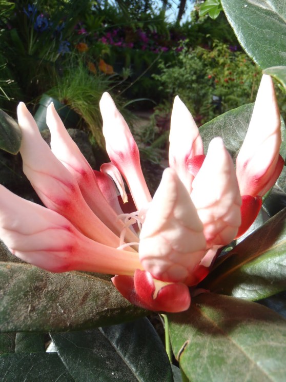 FITTING IN AND NOT FITTING IN