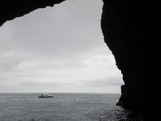 FITTING IN AND NOT FITTING IN (REVISITED)