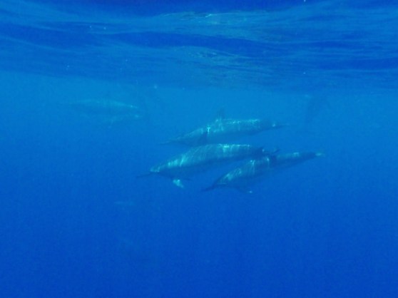 A CORRECTIVE EMOTIONAL EXPERIENCE