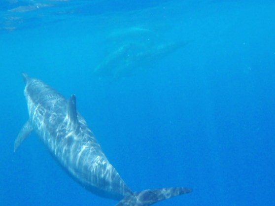 A CORRECTIVE EMOTIONAL EXPERIENCE