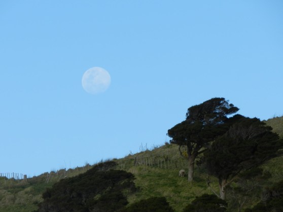 Another quick post...