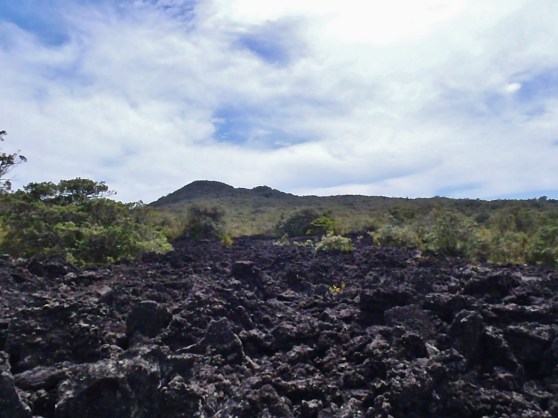 Kayaking to Rangitoto