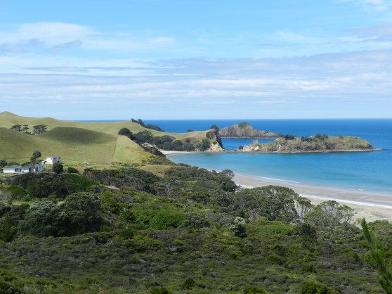 Great Barrier Island