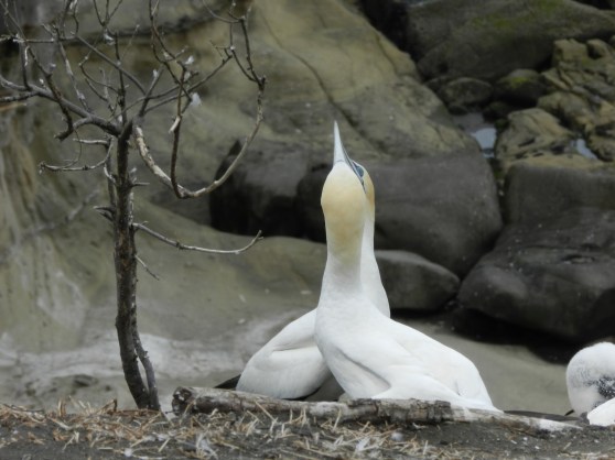 Oh, and another thing...