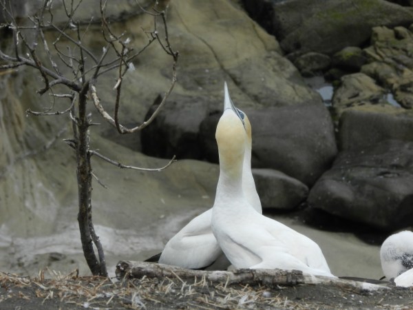 Oh, and another thing...