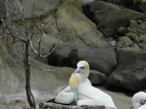 Oh, and another thing...