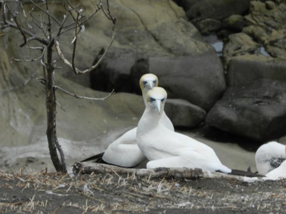 Oh, and another thing...