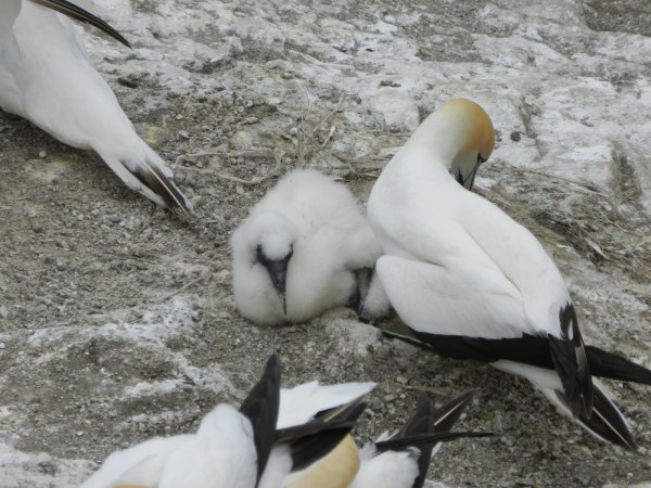 Oh, and another thing...