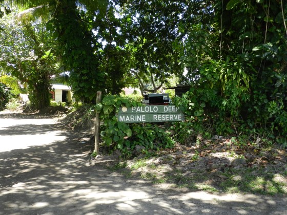 Palolo Marine Reserve, Apia, 'Upolu, Samoa