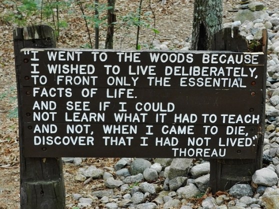 Thoreau Quote
