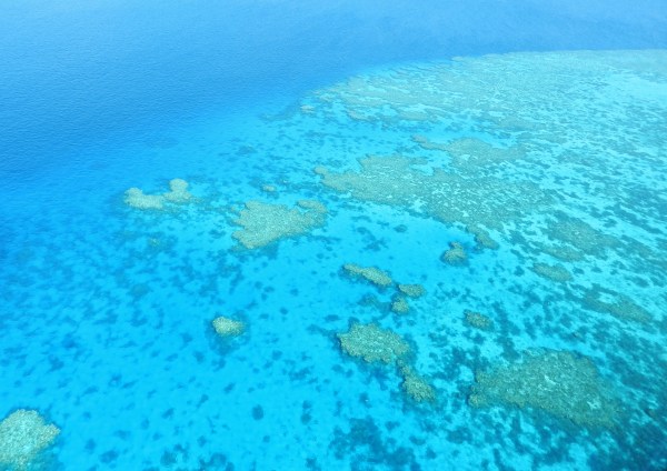 Reef from Above
