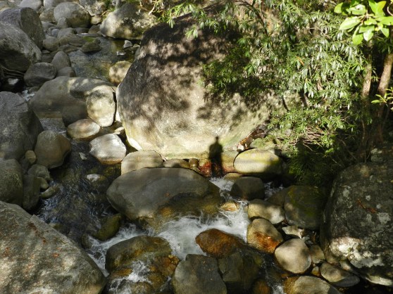 Mossman Gorge