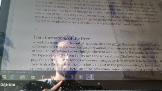 Hero's Journey Reflection