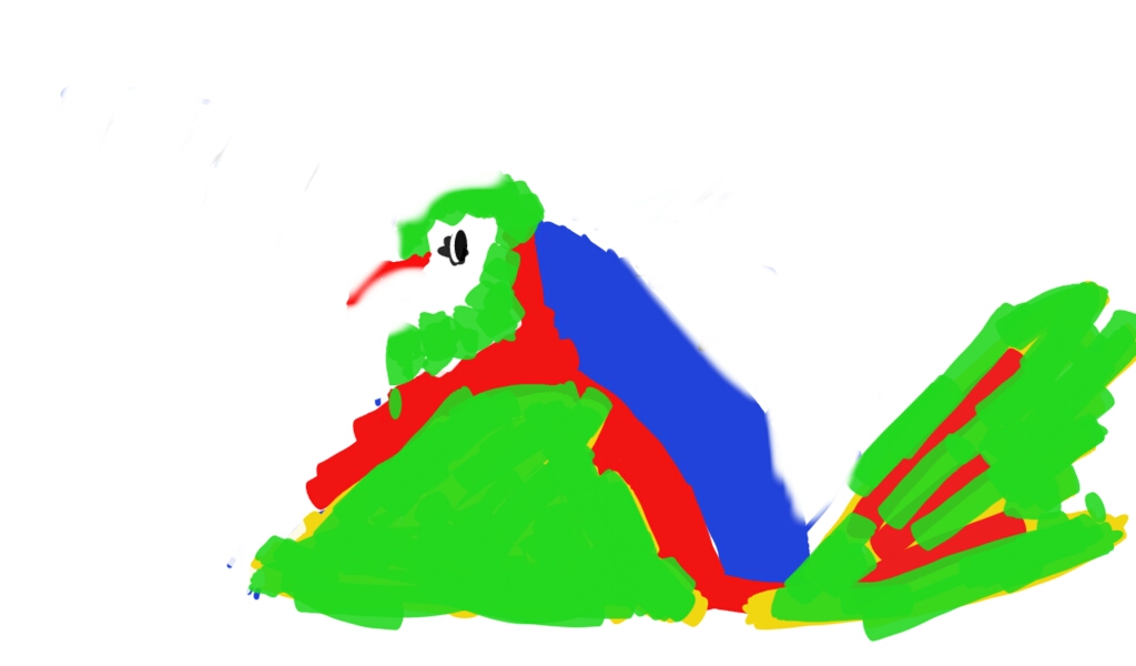 Harley The Rainbow Lorikeet