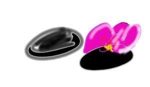 stepping stones with petals 688e3ccd-3499-409c-a1cc-79d00eef0768