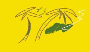 sunshine on my window makes me happy.2