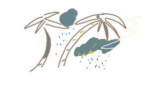 sunshine on my window makes me happy