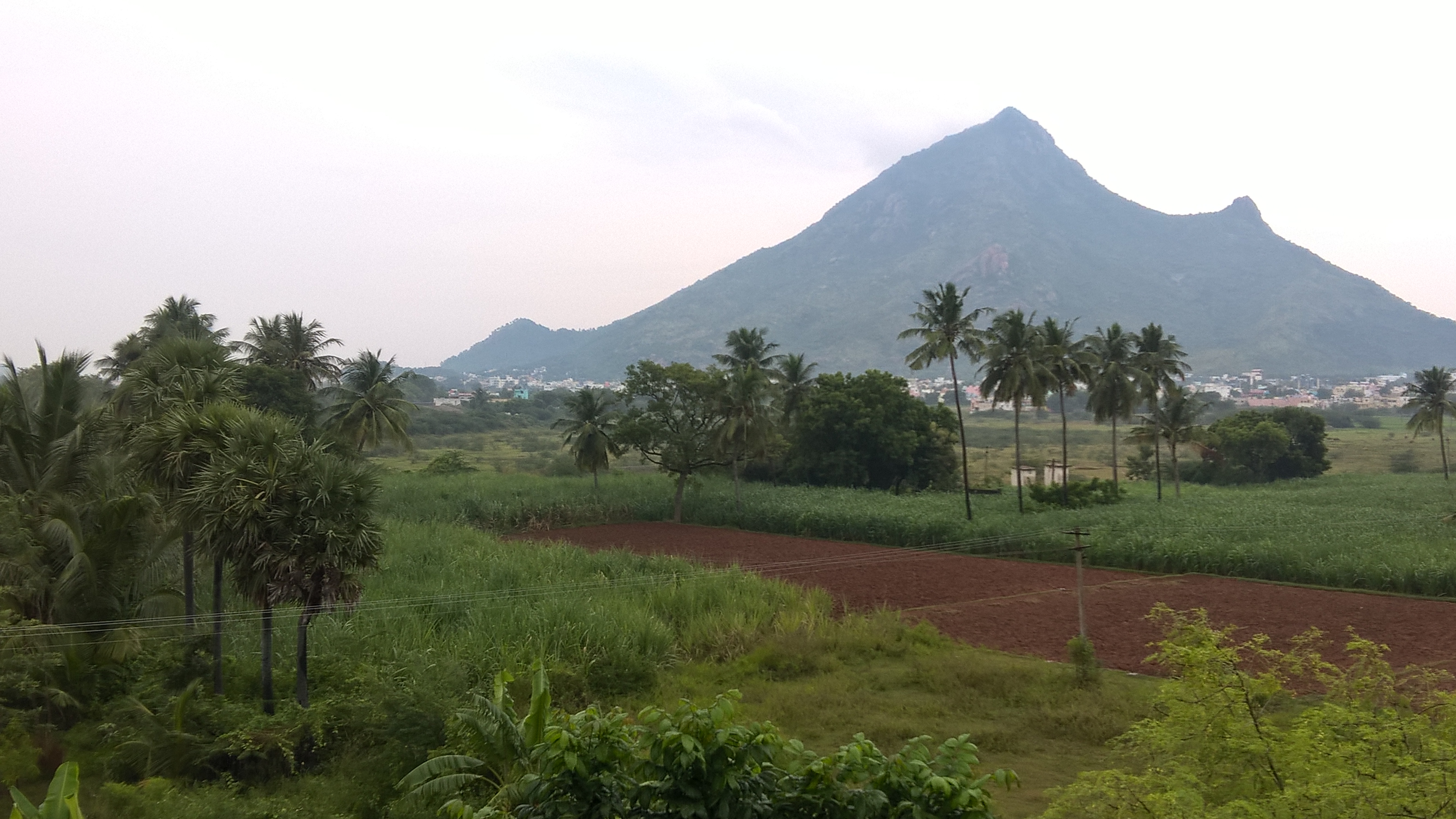 Arunachala