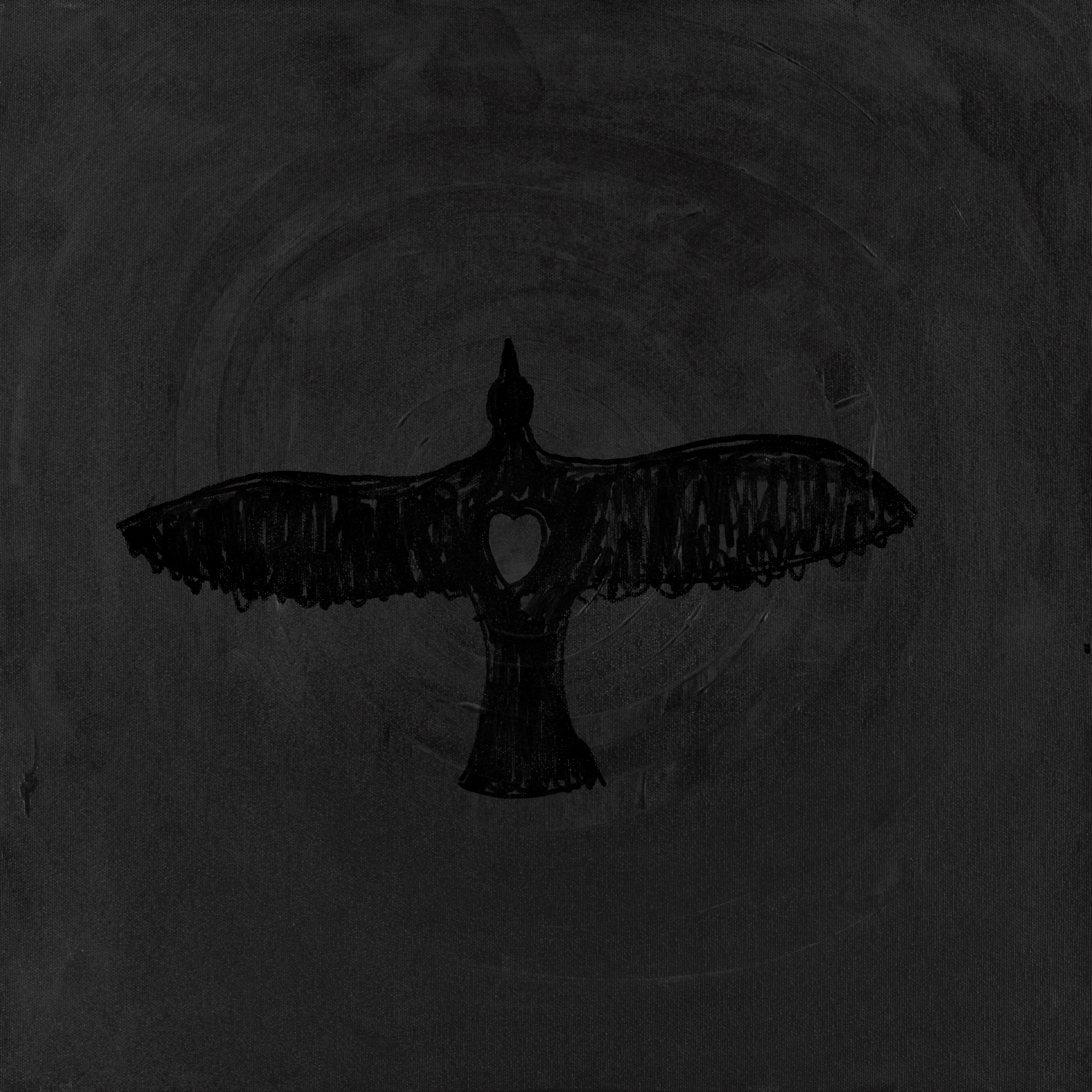 Crow Flying Through Dark Matter.jpg