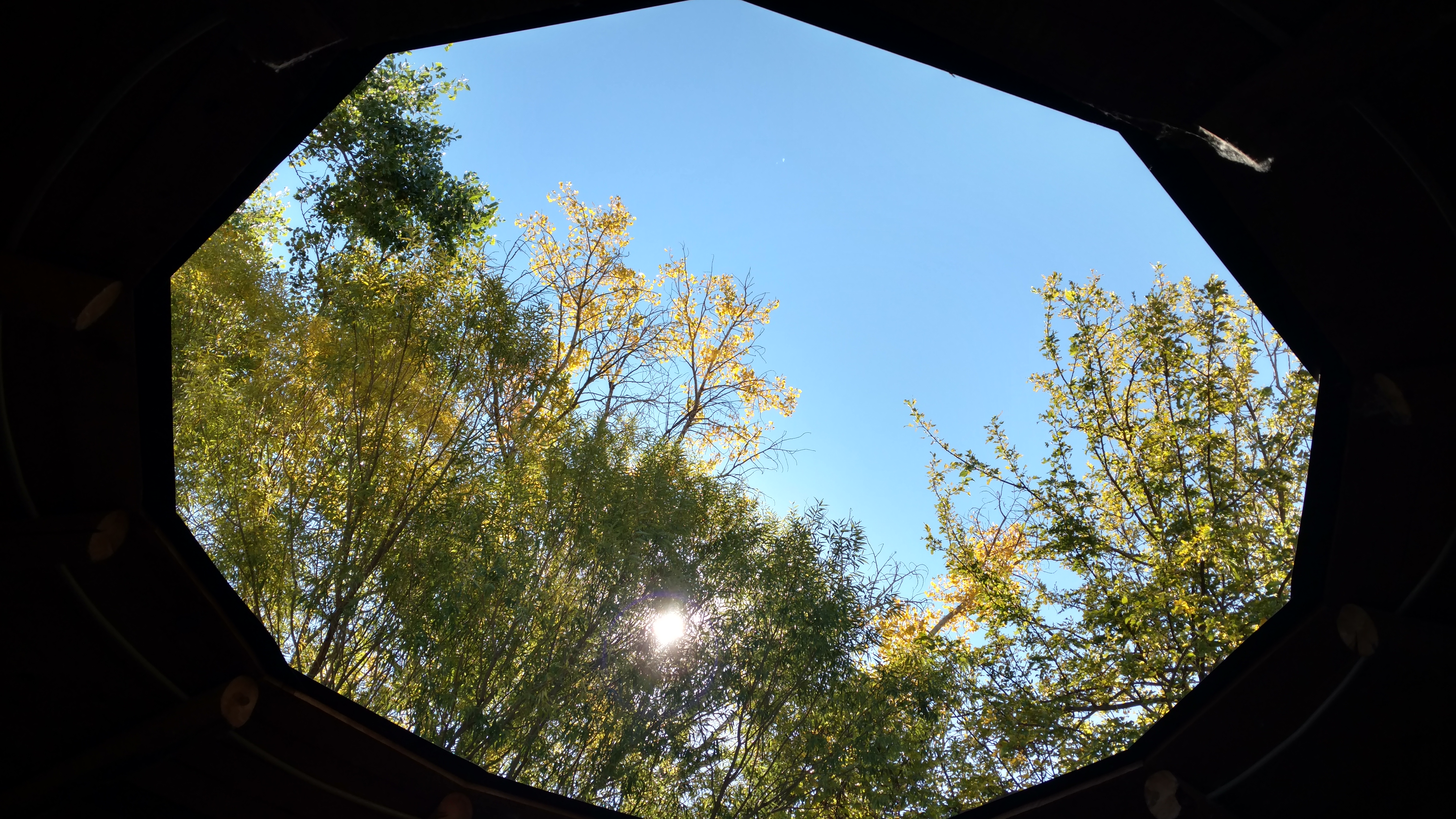 IMG_20181021_105501058_HDR