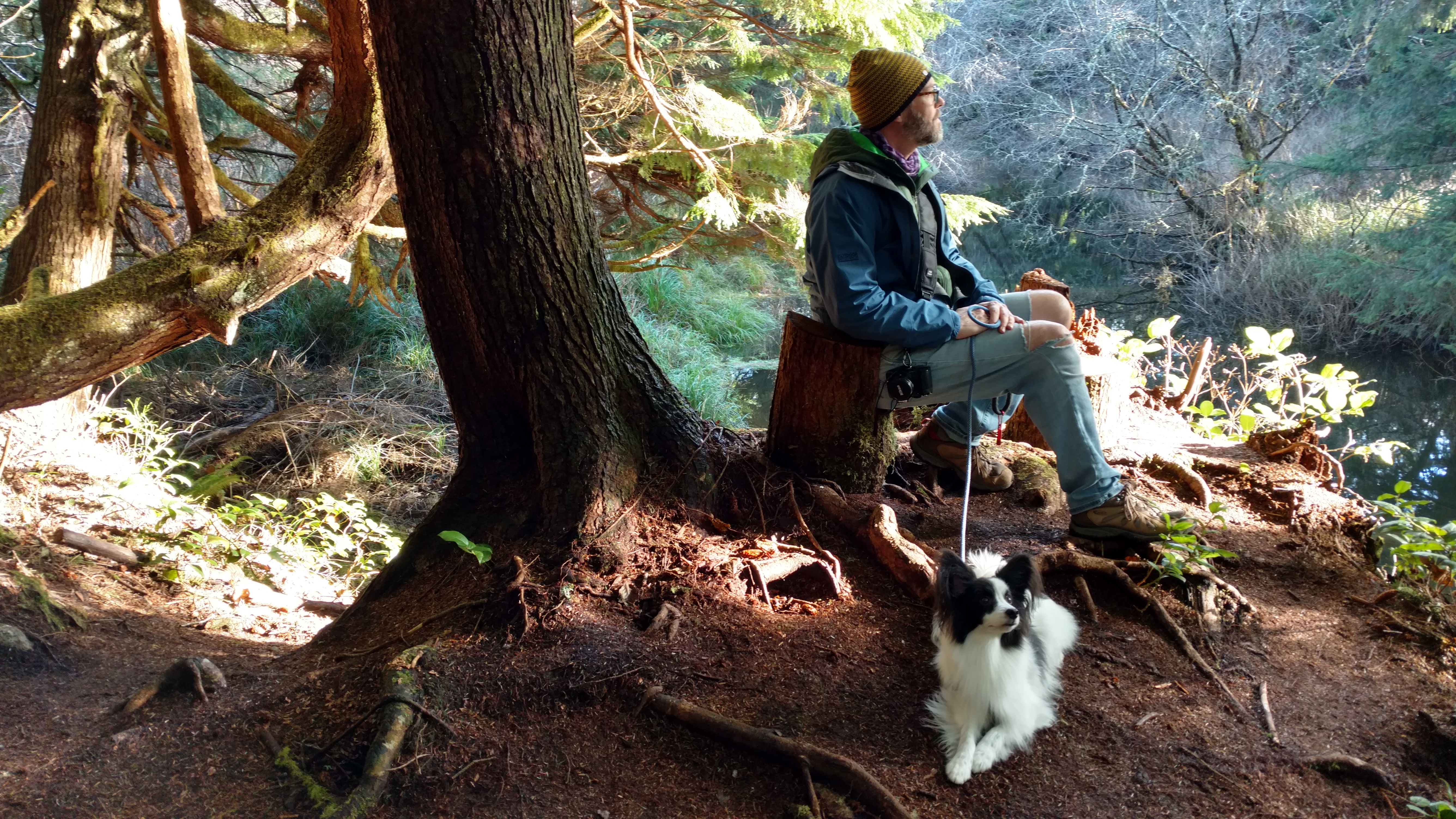 IMG_20181225_124232371_HDR